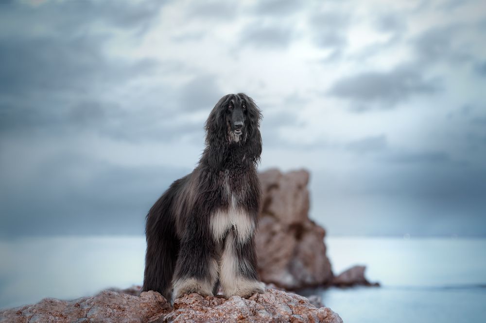 Фотография автора Ana Sánchez