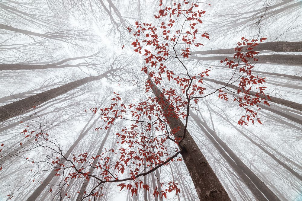 Photograph by Alex Coman