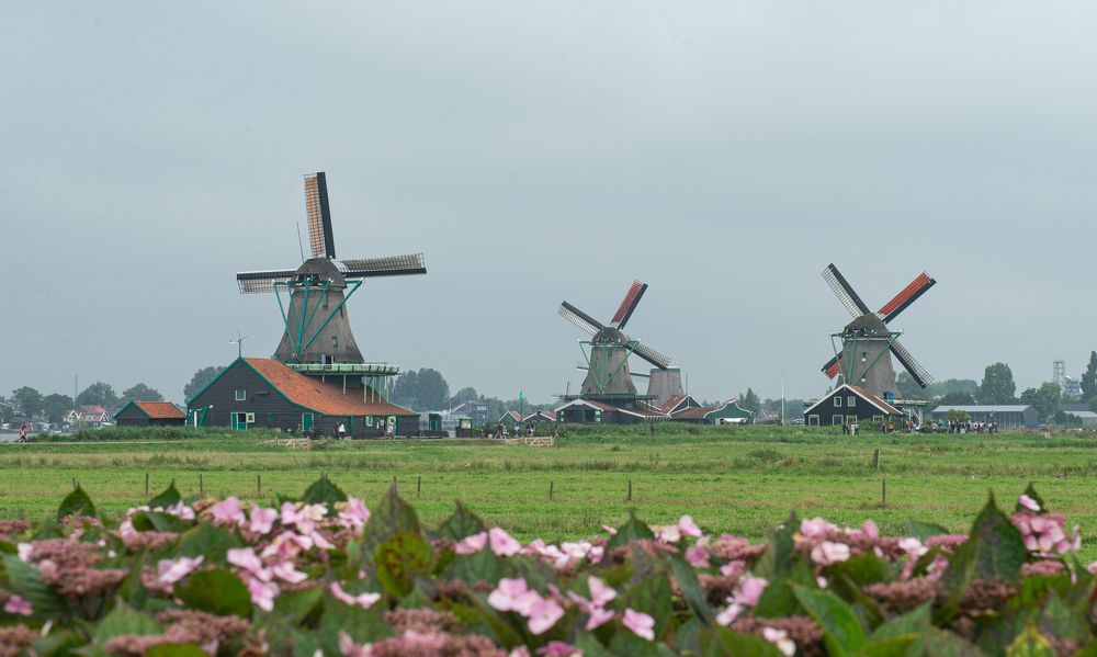 Photograph by NADEZHDA PELYMSKAIA