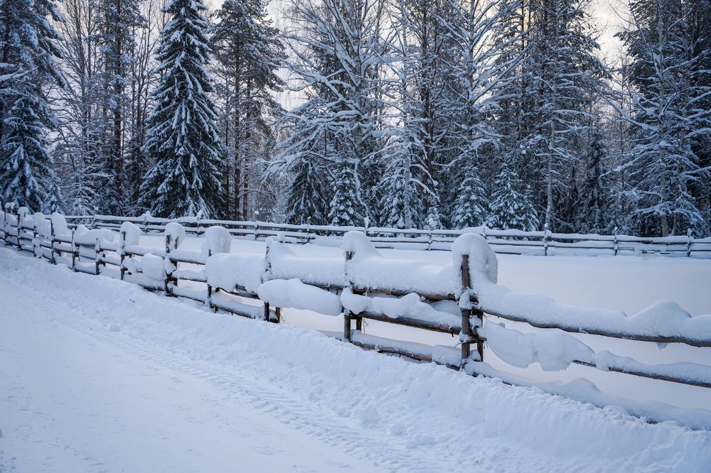 Photograph by Дмитрий Цикин