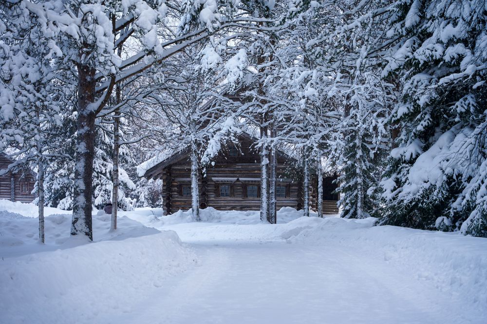 Photograph by Дмитрий Цикин