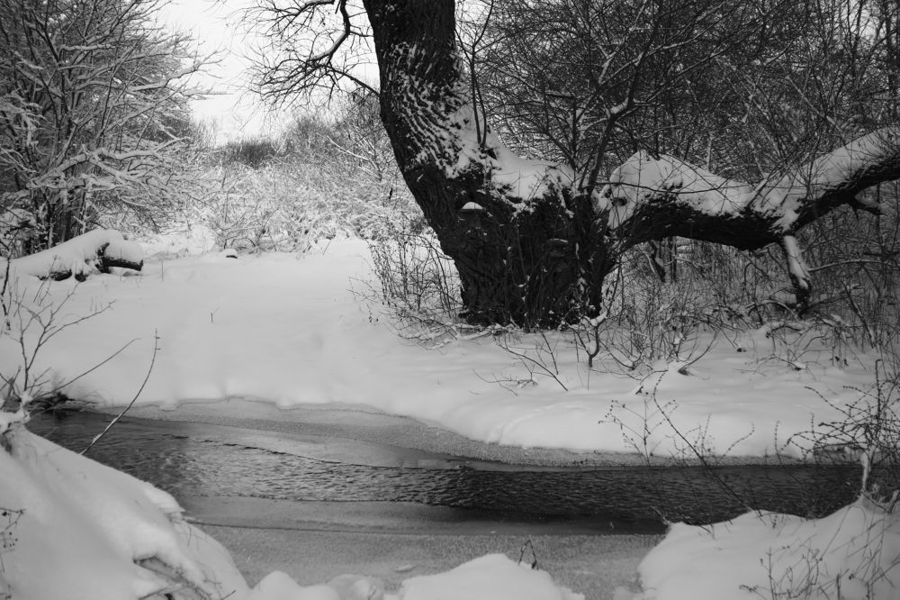 Photograph by Павел Пименов