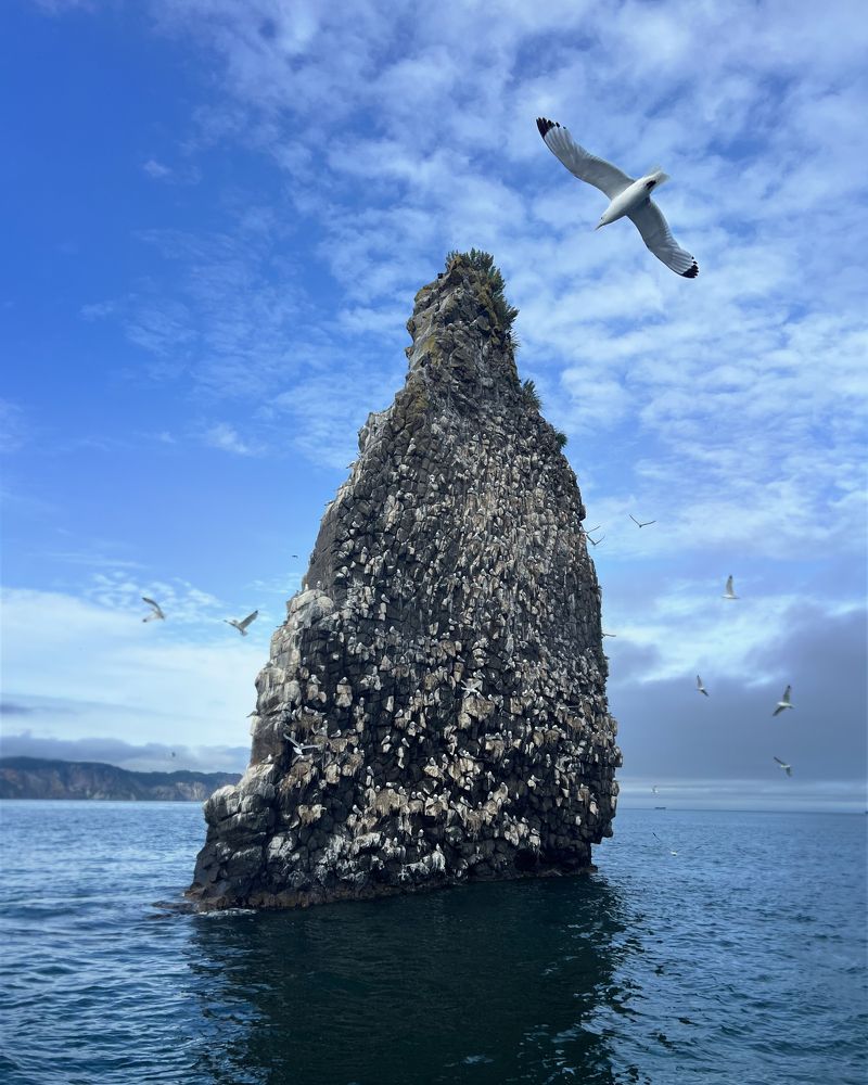 Photograph by Шакиров Александр