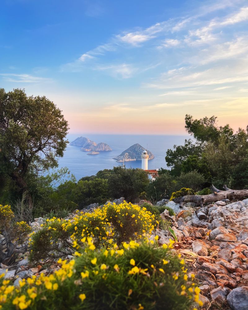 Photograph by Шакиров Александр