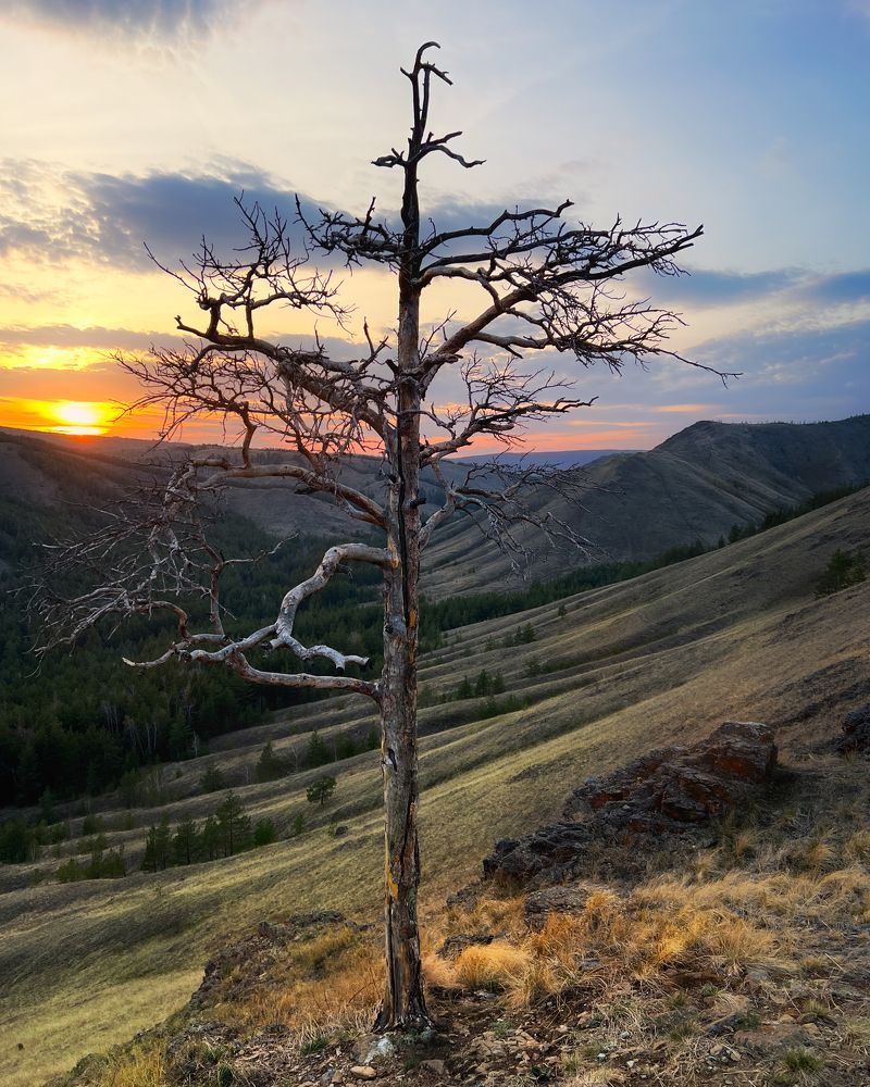Photograph by Шакиров Александр