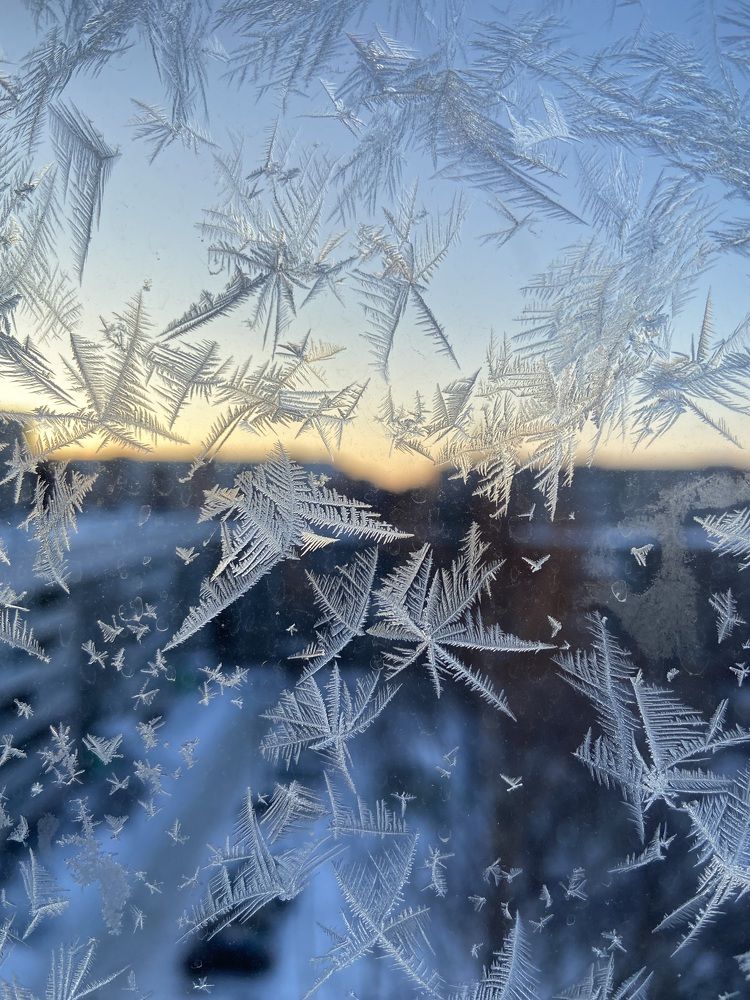 Photograph by Елена Макшеева