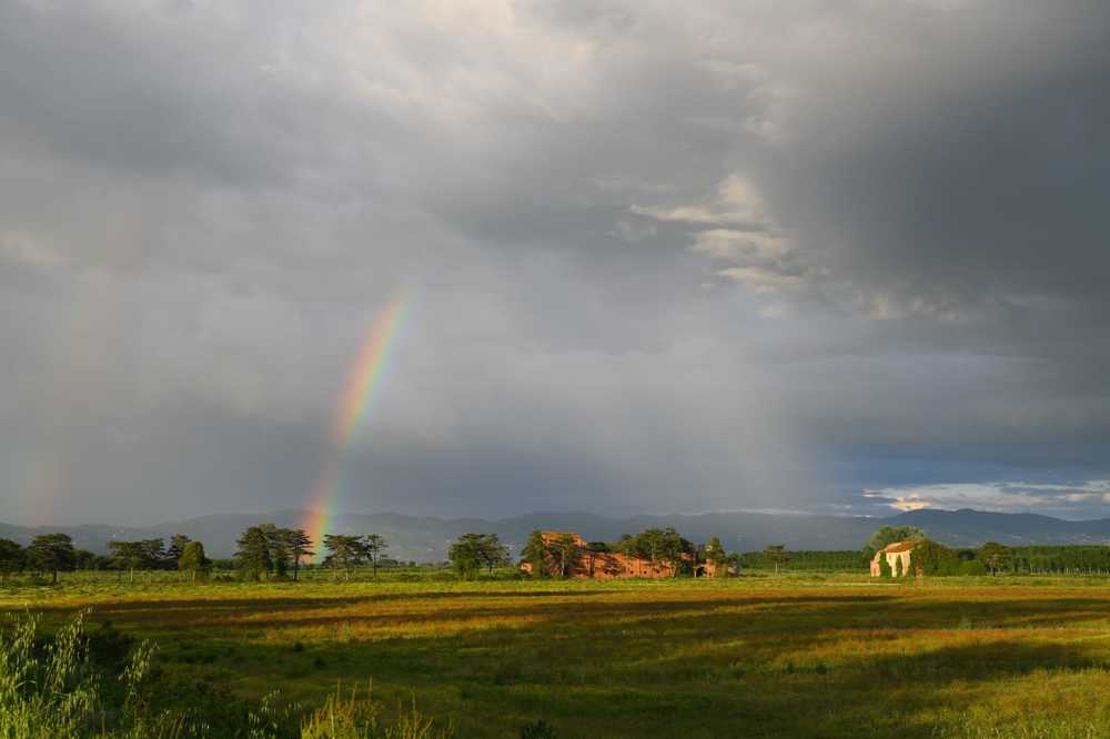 Photograph by Надежда Мерзликина