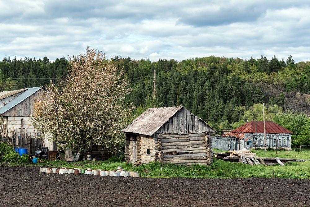 Photograph by Олег Каленин