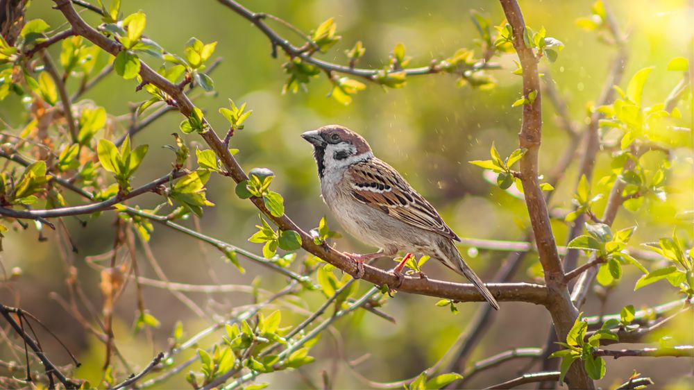 Photograph by Олег Белан