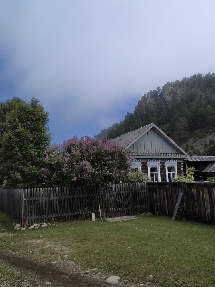 Сирень у дома