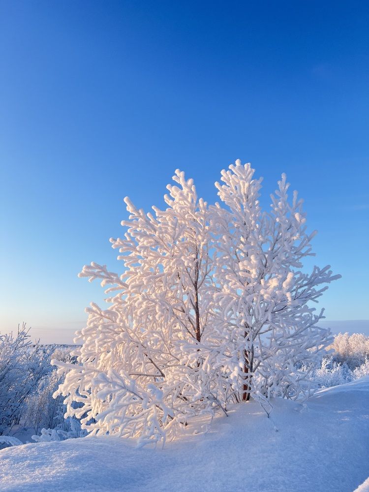 Photograph by Татьяна