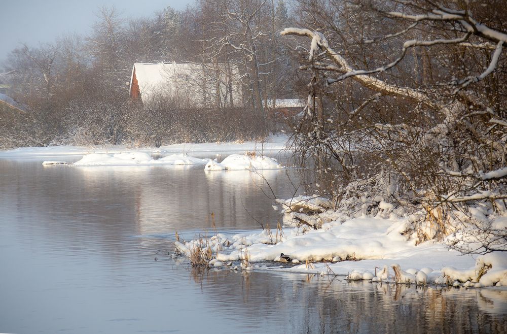 Фотография автора Денис Макаренко