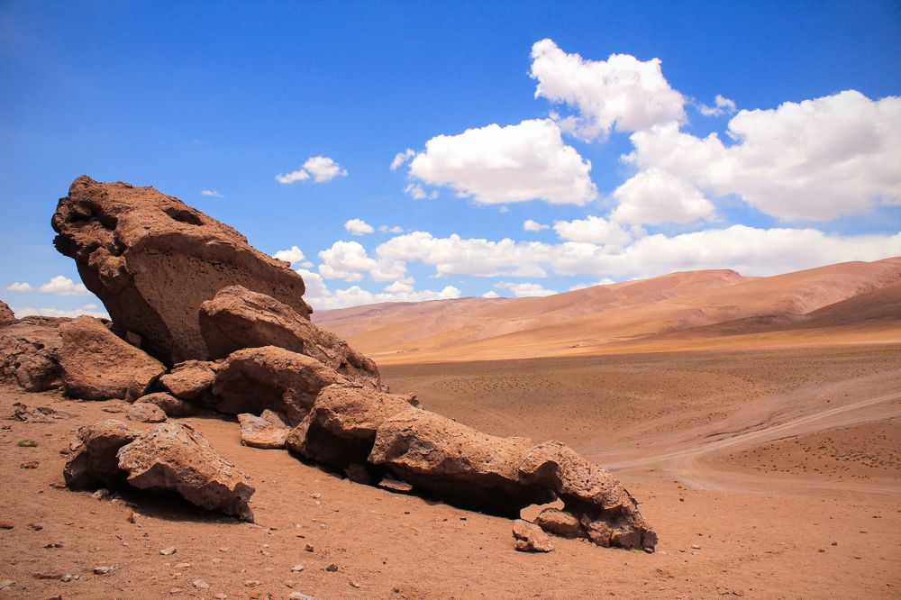 Песчаное чудище