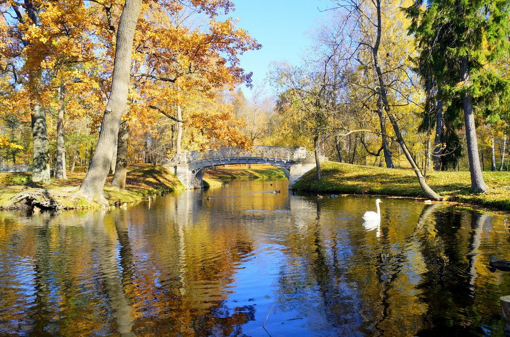 осенним днем