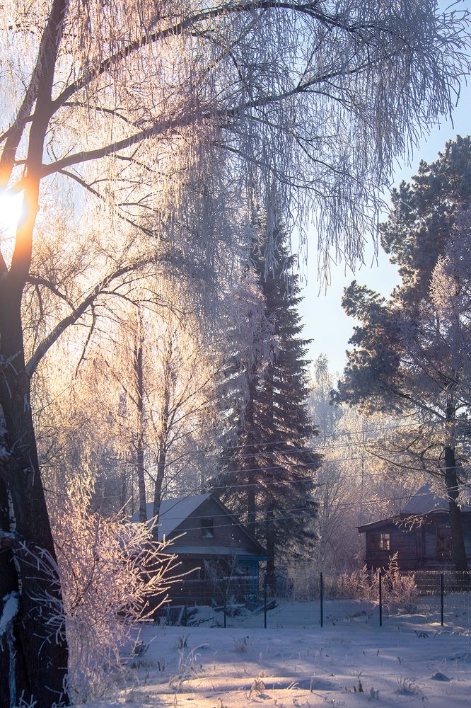 Фотография автора Денис Макаренко