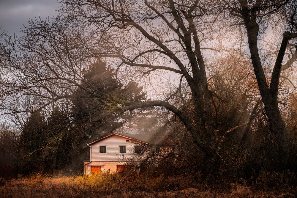 Фотография автора Liyan Dai