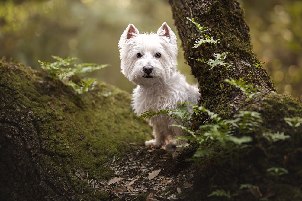 Photograph by Leticia Hernandez