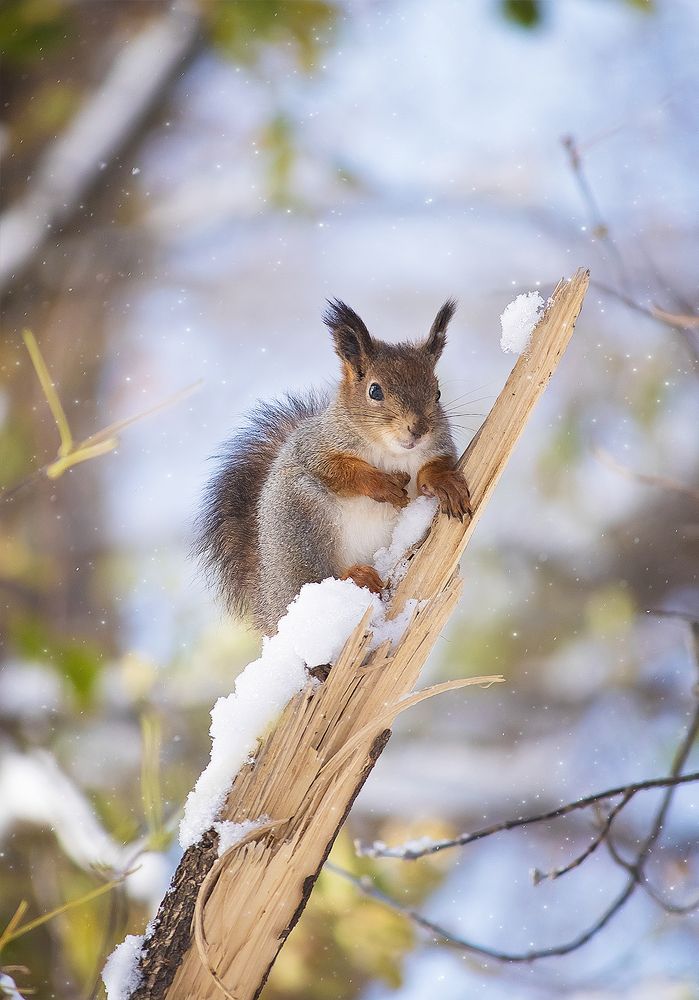 Photograph by Виктория Мамаева
