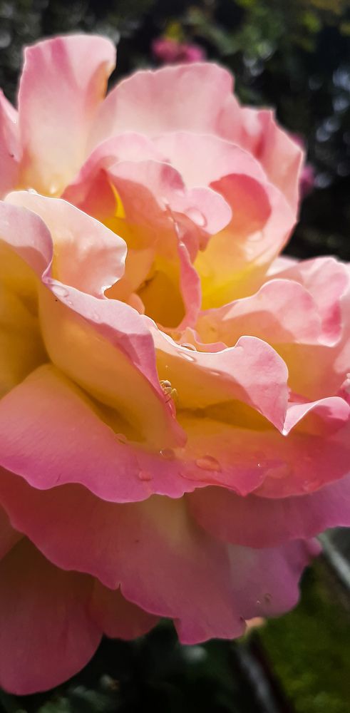 Фотография автора Валерия