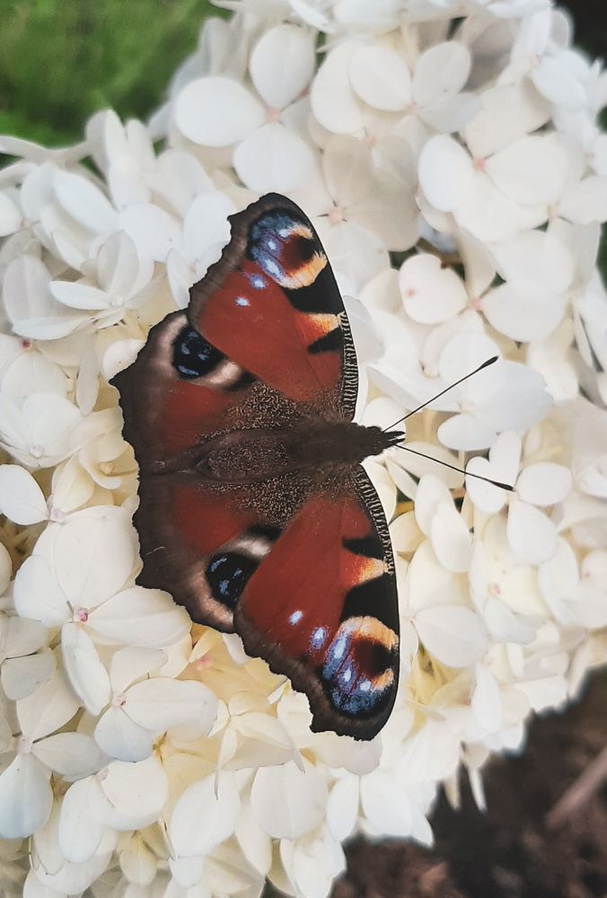 Фотография автора Валерия