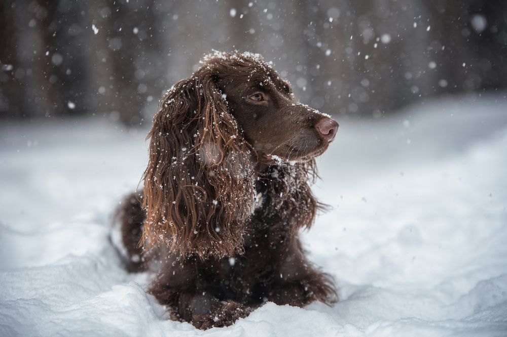 Photograph by Динара Зуйкова