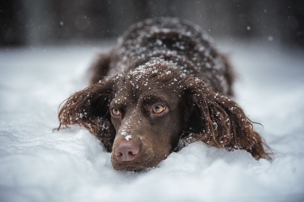 Photograph by Динара Зуйкова