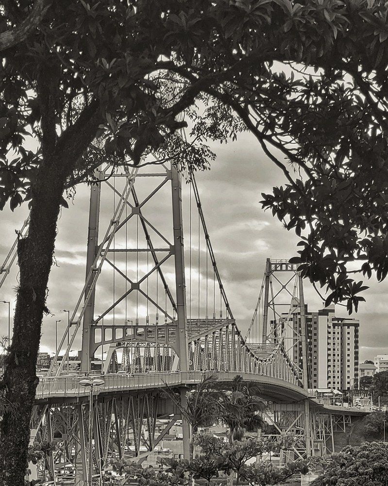 Photograph by Jorge Perez