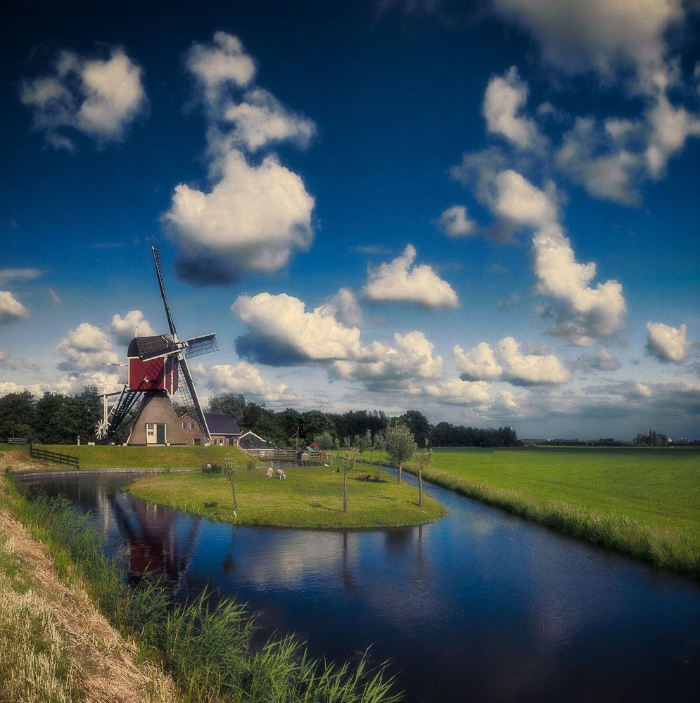 Северная пастораль | Nordic pastoral