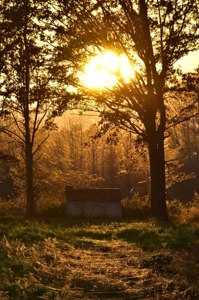 Photograph by Надежда Мерзликина