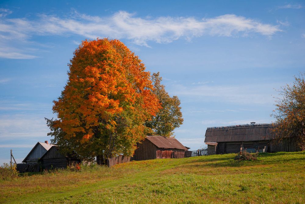 Photograph by Диана Бородзе
