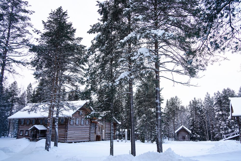 Photograph by Дмитрий Цикин