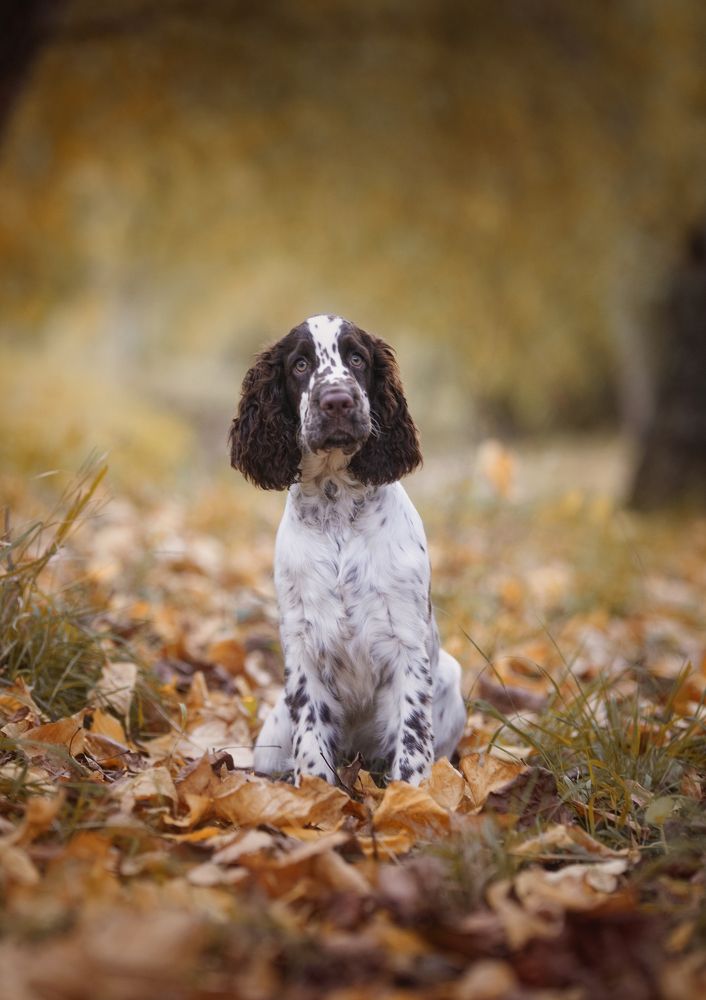 Photograph by Alexandre Marques