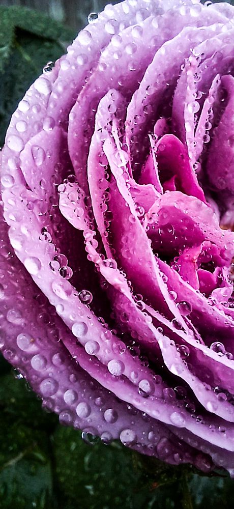 Фотография автора Джаф