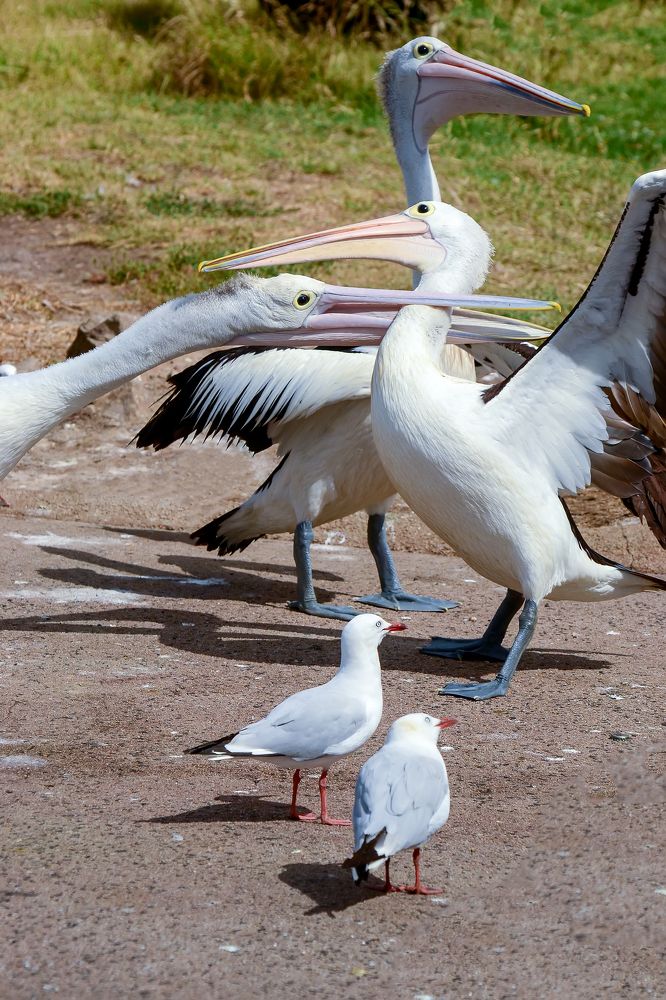 Photograph by Зоя Куренкова