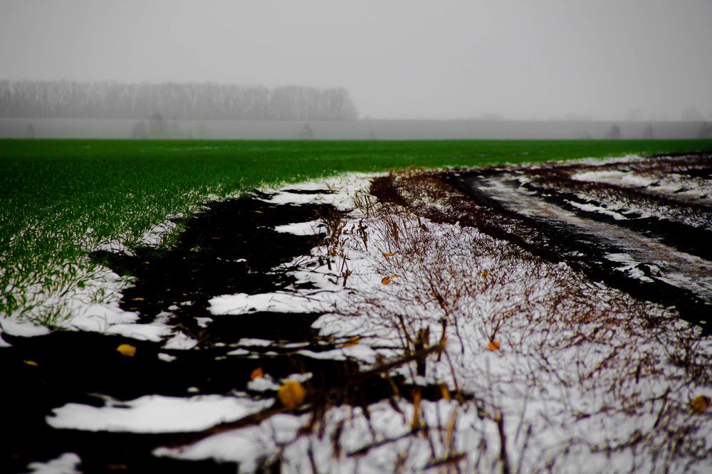 Photograph by Андрей Злобин