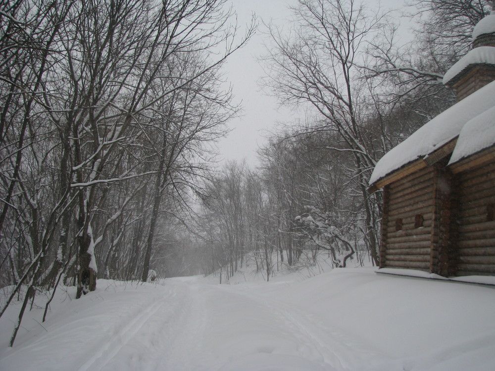 Photograph by Лада Кляузина