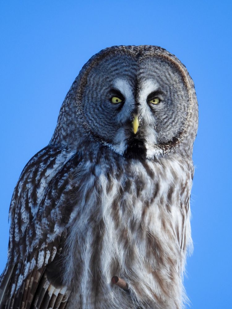 Photograph by Игорь Степанов