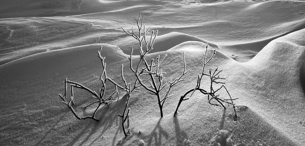 Photograph by Вадим Качанов