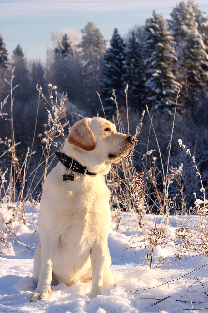 Photograph by Ольга