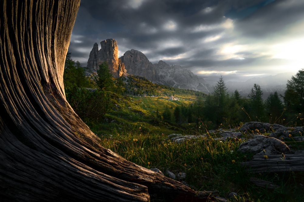 The end and the beginning