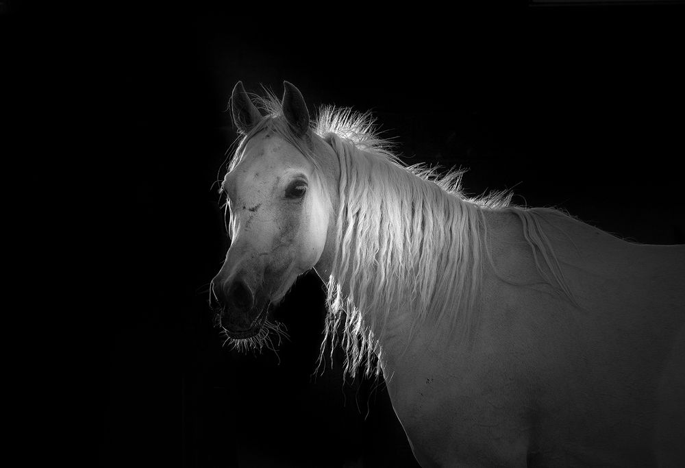 Фотография автора yomn