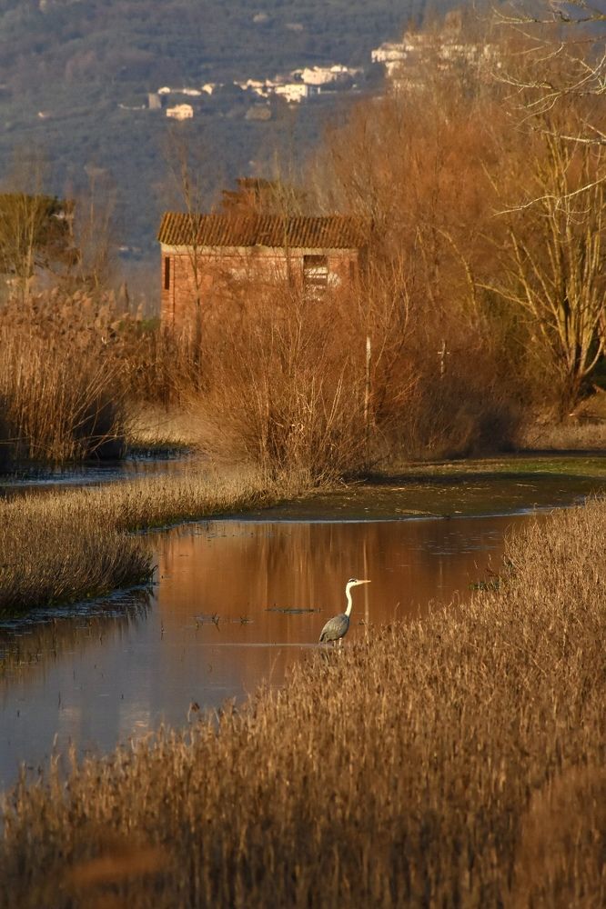 Photograph by Надежда Мерзликина