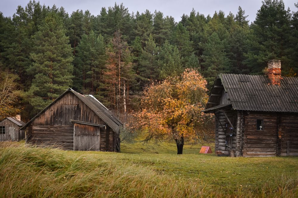 д.Доброплесы в Октябре 2023