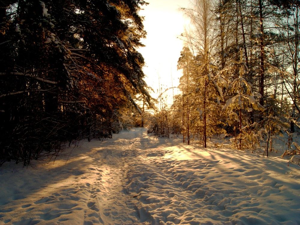 Photograph by Владимир Сивохин