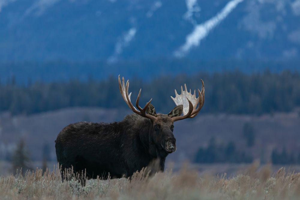 Фотография автора Brian Kinghorn