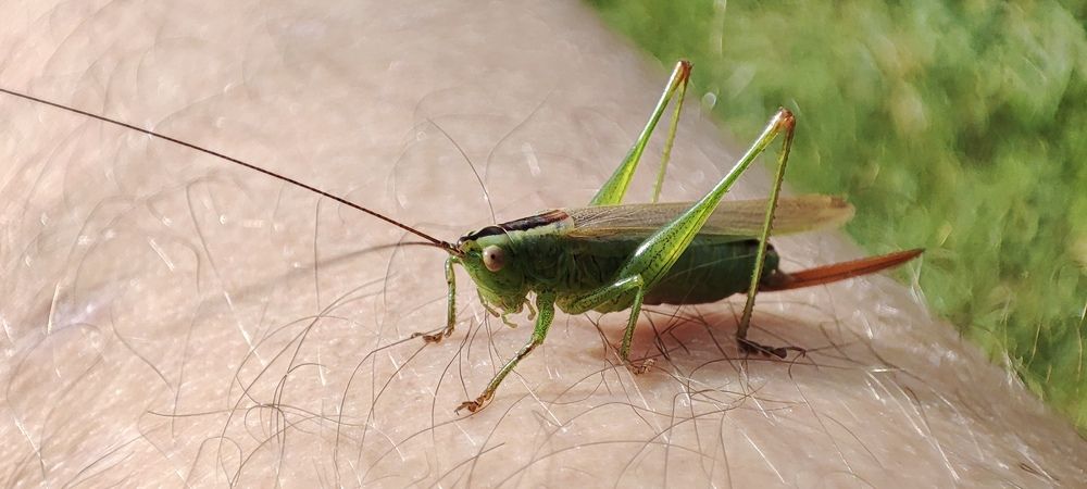 Photograph by Дмитрий Свинухов