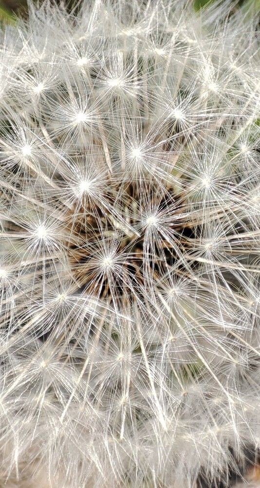 Photograph by Дмитрий Свинухов