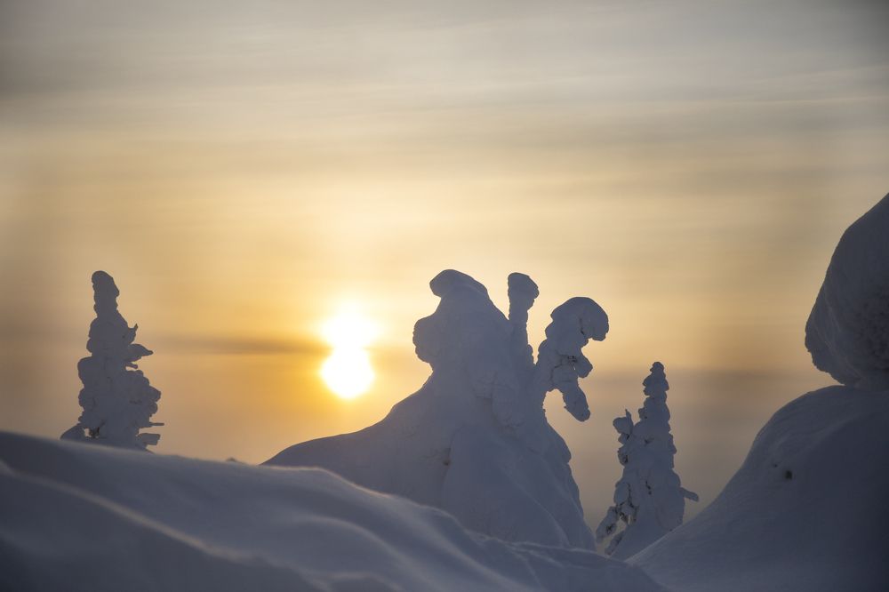 Photograph by Татьяна Дубовицкая