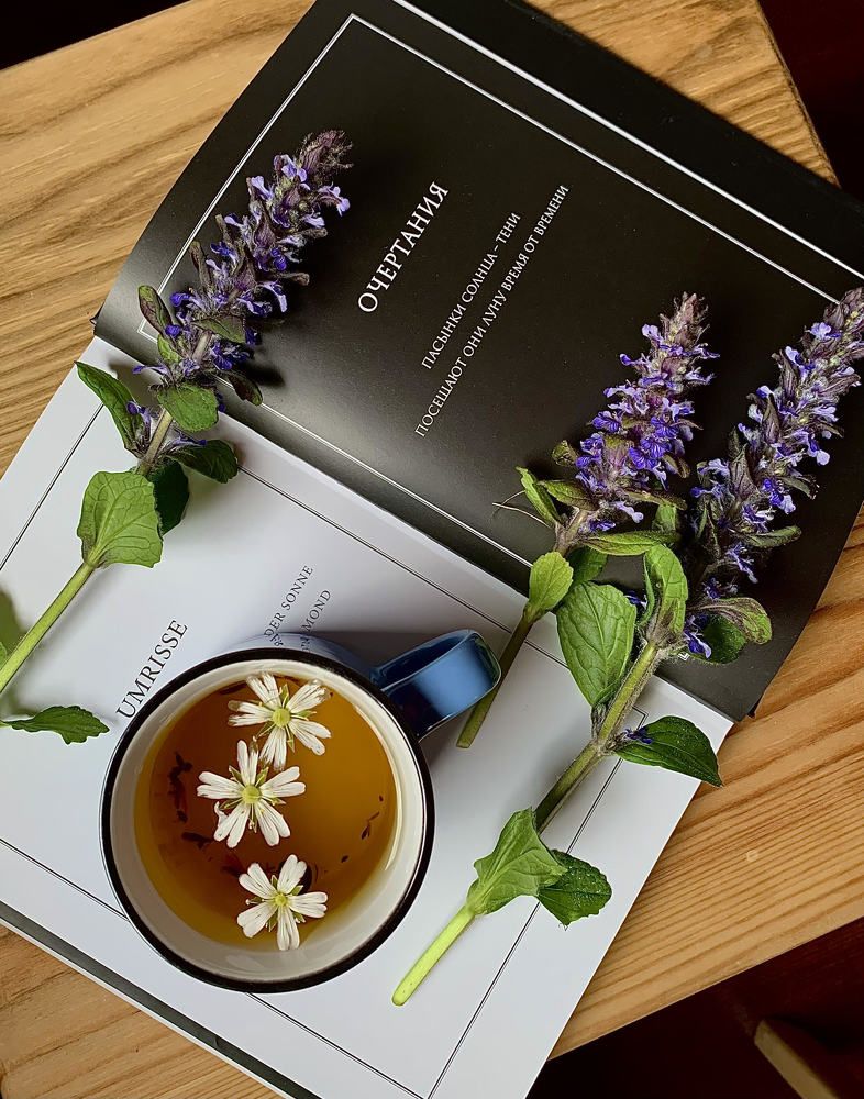 Фотография автора Людмила Капустина