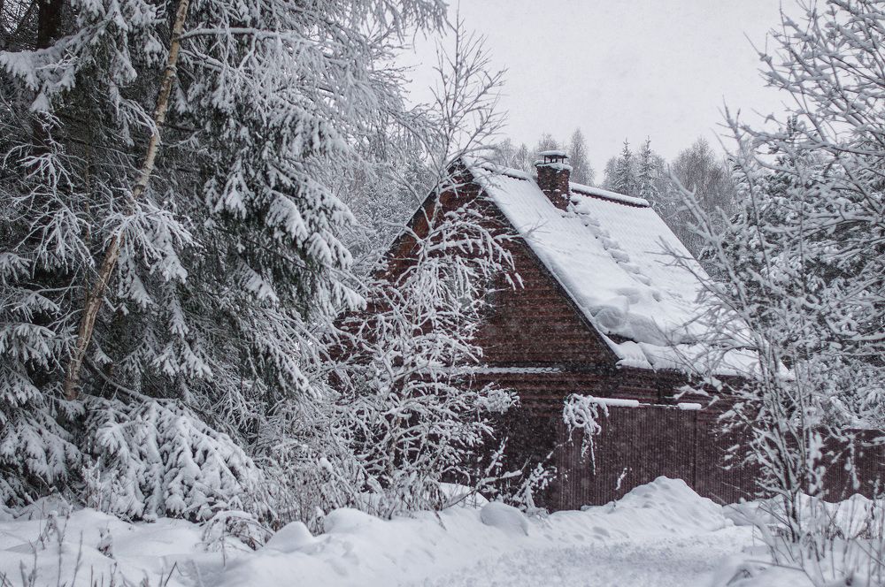 Photograph by Людмила Потапова